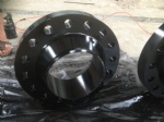 Welding neck flange(Black painted)